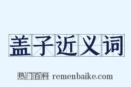盖子近义词是什么意思的图片